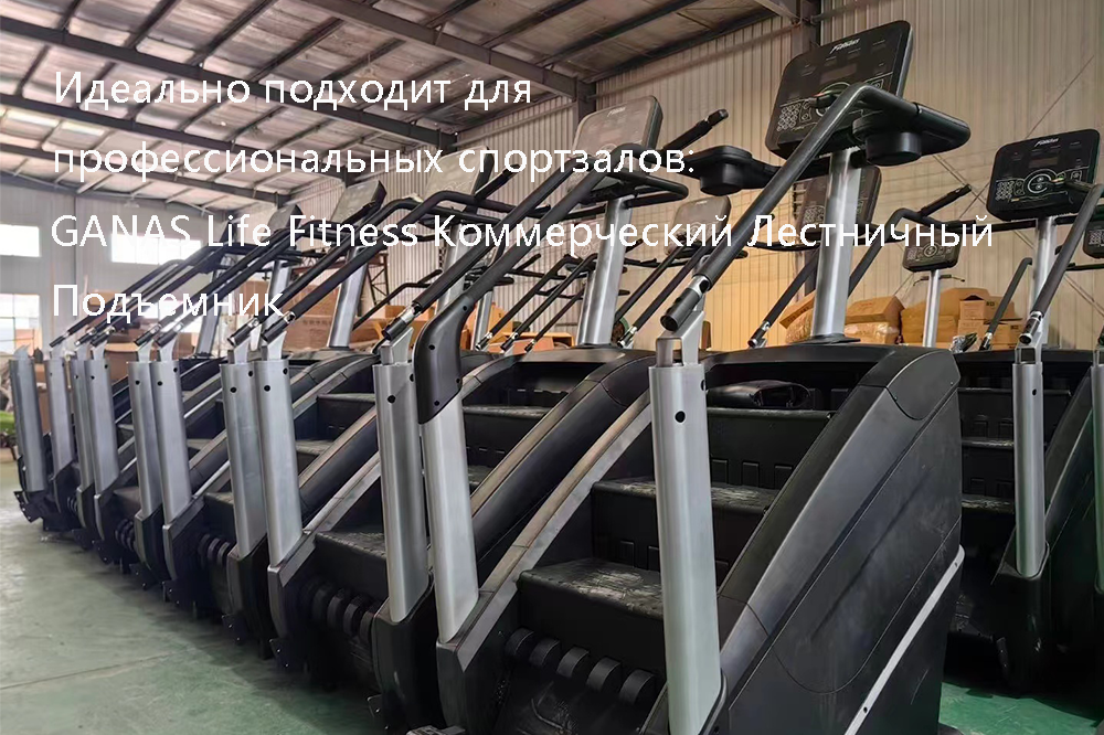 GANAS Life Fitness Коммерческий Лестничный Подъемник_ZCyhu9mJ.png